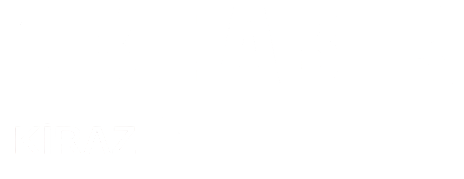 theme-sticky-logo-alt